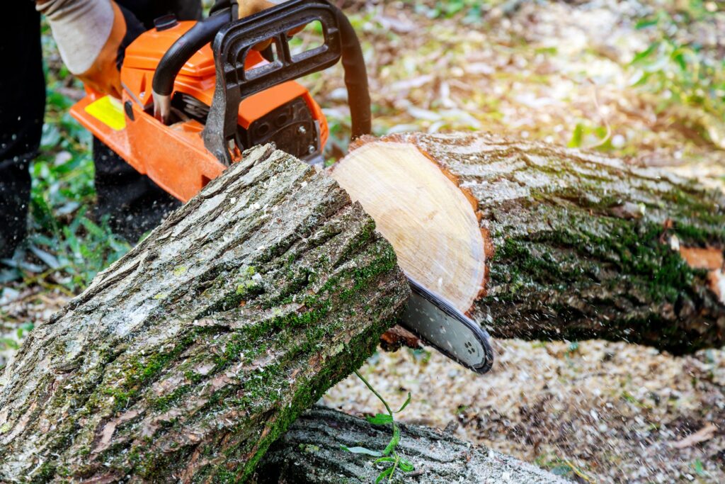 Worker cutting uprooted broken tree with sawn chainsaw after a violent storm